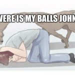 Long neck dog | WERE IS MY BALLS JOHN | image tagged in long neck dog | made w/ Imgflip meme maker