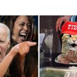 Ultra Cat Biden Kamel w steak