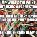 I’m Not Wrong | ME: WHAT’S THE POINT ABOUT USING A PAPER STRAW? ADULT: THERE ARE MANY REASONS BUT MOST IMPORTANTLY THEY BIODEGRADABLE. ME: THEY BIODEGRADE IN MY DRINK!!! | image tagged in plastic straws,straws | made w/ Imgflip meme maker