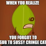 BFDI "Wat" Face | WHEN YOU REALIZE; YOU FORGOT TO SUB TO SUSSY CRINGE CAT | image tagged in bfdi wat face | made w/ Imgflip meme maker