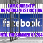 Facebook jail | I AM CURRENTLY ON PAROLE/RESTRICTION; UNTIL THE SUMMER OF 2043 | image tagged in facebook jail | made w/ Imgflip meme maker
