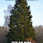 Things That Sound Dirty At Christmas | THINGS THAT SOUND DIRTY AT CHRISTMAS, BUT AREN'T:; IT'S SO BIG! 
IT'S NEVER GOING TO FIT! | image tagged in christmas tree,humor,funny,pun,double entendre | made w/ Imgflip meme maker