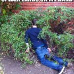 it's true | ME AFTER A TINY ASS SPIDER LANDS ON MY HAND | image tagged in drunk and passed out | made w/ Imgflip meme maker