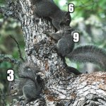 3 isn't with 6 and 9 | 6; 9; 3 | image tagged in kissing squirrels | made w/ Imgflip meme maker