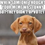 boi | WHEN SOMEONE THOUGHT YOUR MEME WAS FUNNY BUT THEY DIDN'T UPVOTE IT | image tagged in disapointed dog | made w/ Imgflip meme maker