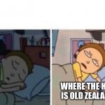 I know it’s in the Netherlands, but I thought this was funny | WHERE THE HECK IS OLD ZEALAND? | image tagged in morty waking up,old zealand,funny not funny | made w/ Imgflip meme maker