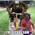 ape on bike | ME; THE GECKO I SAW | image tagged in ape on bike | made w/ Imgflip meme maker