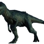 Allosaurus 5 (BABR Design)