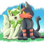 Sprigatito and Litten best friends