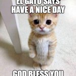 :> | EL GATO SAYS HAVE A NICE DAY; GOD BLESS YOU | image tagged in el gato,fire,why are you reading the tags,stop reading the tags,lol,have a nice day | made w/ Imgflip meme maker