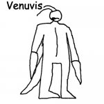 Venuvis