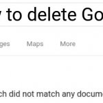 Not how to use this template #15 | How to delete Google? | image tagged in google no results | made w/ Imgflip meme maker