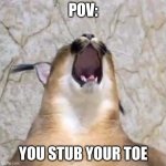 p a i n | POV:; YOU STUB YOUR TOE | image tagged in floppa screaming | made w/ Imgflip meme maker