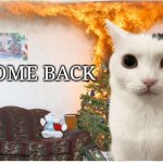 Cat Christmas | COME BACK | image tagged in cat christmas | made w/ Imgflip meme maker