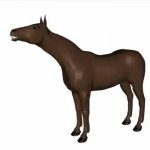 horse spawns a fucking head meme