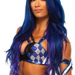 Yet another sasha banks render