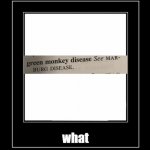 What frame | image tagged in what frame | made w/ Imgflip meme maker