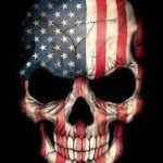 American skull