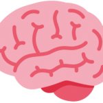 brain twemoji