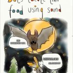 Bats locate their food using sound | DID SOMEBODY SAY... MENULOG! AH, DAMN IT! | image tagged in bats locate their food using sound | made w/ Imgflip meme maker