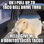 Ok I pull up capybara | OK I PULL UP TO TACO BELL DRIVE THRU; HELLO GIVE ME A DORITOS LOCOS TACOS | image tagged in ok i pull up capybara | made w/ Imgflip meme maker