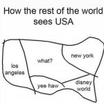 How the rest of the world sees USA meme
