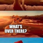 insert smort title | EVERYTHING THE LIGHT TOUCHES IS USEABLE SOCIAL MEDIA; WHAT'S OVER THERE? TWITTER | image tagged in lion king,ha ha tags go brr | made w/ Imgflip meme maker