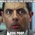 When you notice | WHEN YOU NOTICE YOU STEPPED IN; DOG POOP | image tagged in weird face,dog,dogs,poop,when you realize | made w/ Imgflip meme maker