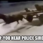 Who cares | POV: YOU HEAR POLICE SIRENS: | image tagged in gifs,who reads these | made w/ Imgflip video-to-gif maker