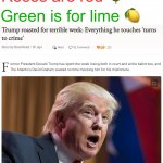 Roses are red Green is for lime everything Trump touches turns meme