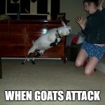 When Goats Attack | WHEN GOATS ATTACK | image tagged in when goats attack | made w/ Imgflip meme maker