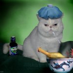 Sick Cat | image tagged in sick cat | made w/ Imgflip meme maker