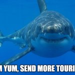great white shark  | YUM YUM, SEND MORE TOURISTS | image tagged in great white shark | made w/ Imgflip meme maker