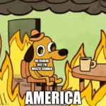 *COugh* | ME FINDING OUT I'M MOSTLY GERMAN; AMERICA | image tagged in its fine | made w/ Imgflip meme maker