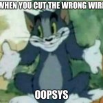 e | WHEN YOU CUT THE WRONG WIRE; OOPSYS | image tagged in tom i dont know meme | made w/ Imgflip meme maker