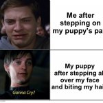 No mercy from my new puppy | Me after stepping on my puppy's paw; My puppy after stepping all over my face and biting my hair | image tagged in toby maguire hotline bling,memes,unfunny | made w/ Imgflip meme maker