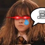 My Exam Results | HOW DID I FAIL ON MY EXAMS?! | image tagged in harry potter - miss granger is not amused | made w/ Imgflip meme maker