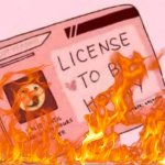 License to be horny on fire