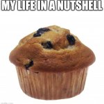 Popular Opinion Muffin | MY LIFE IN A NUTSHELL | image tagged in popular opinion muffin | made w/ Imgflip meme maker