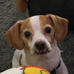 Lucy’s school photo