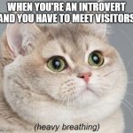 Kids: | WHEN YOU'RE AN INTROVERT AND YOU HAVE TO MEET VISITORS | image tagged in memes,heavy breathing cat | made w/ Imgflip meme maker