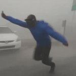 Windy Hurricane Reporter meme