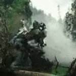Optimus forest battle GIF Template