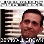 :’) | WHEN YOU UPVOTE A MEME IN THE “NEW” SECTION, AND ONE DAY LATER IT REACHES 500+ UPVOTES; MY BOY IS ALL GROWN UP | image tagged in happy cry | made w/ Imgflip meme maker