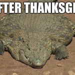 Thicc crocodile | ME AFTER THANKSGIVING | image tagged in thicc crocodile | made w/ Imgflip meme maker