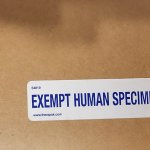 Exempt Human