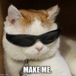 Make me | MAKE ME. | image tagged in cat in sunglasses | made w/ Imgflip meme maker