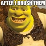 Smiling Shrek | ME SHOWING MY PARENTS MY TEETH AFTER I BRUSH THEM | image tagged in smiling shrek | made w/ Imgflip meme maker