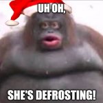Uh Oh Stinky | UH OH, SHE'S DEFROSTING! | image tagged in memes,ice,defrost | made w/ Imgflip meme maker