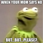 Kirmit Triggerd | WHEN YOUR MOM SAYS NO; BUT...BUT...PLEASE? | image tagged in kirmit triggerd | made w/ Imgflip meme maker